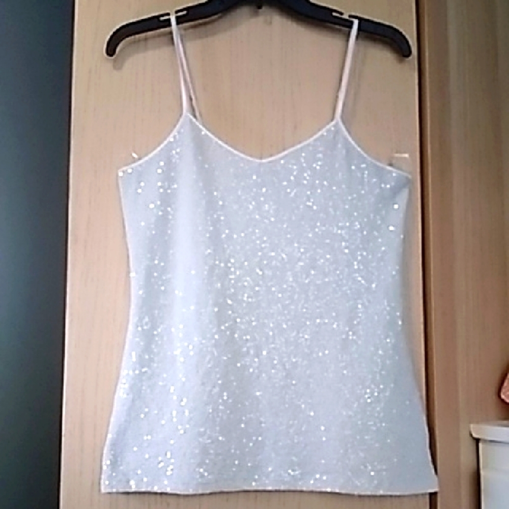 EXPRESS Shimmer Top Sz M